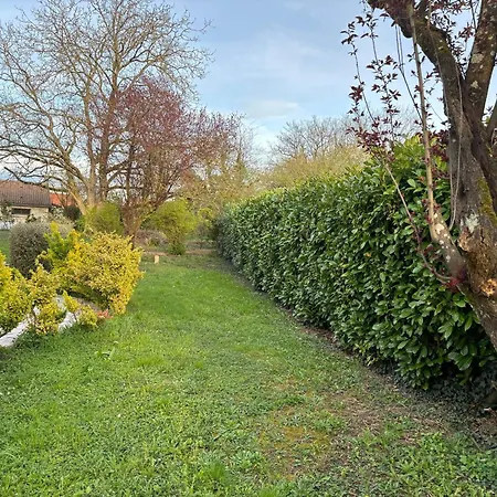 Agreable Maison De Ville Avec Tout A Proximite Saint-Dizier Exterior photo